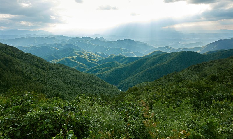 Shanghai to Moganshan one-day round trip